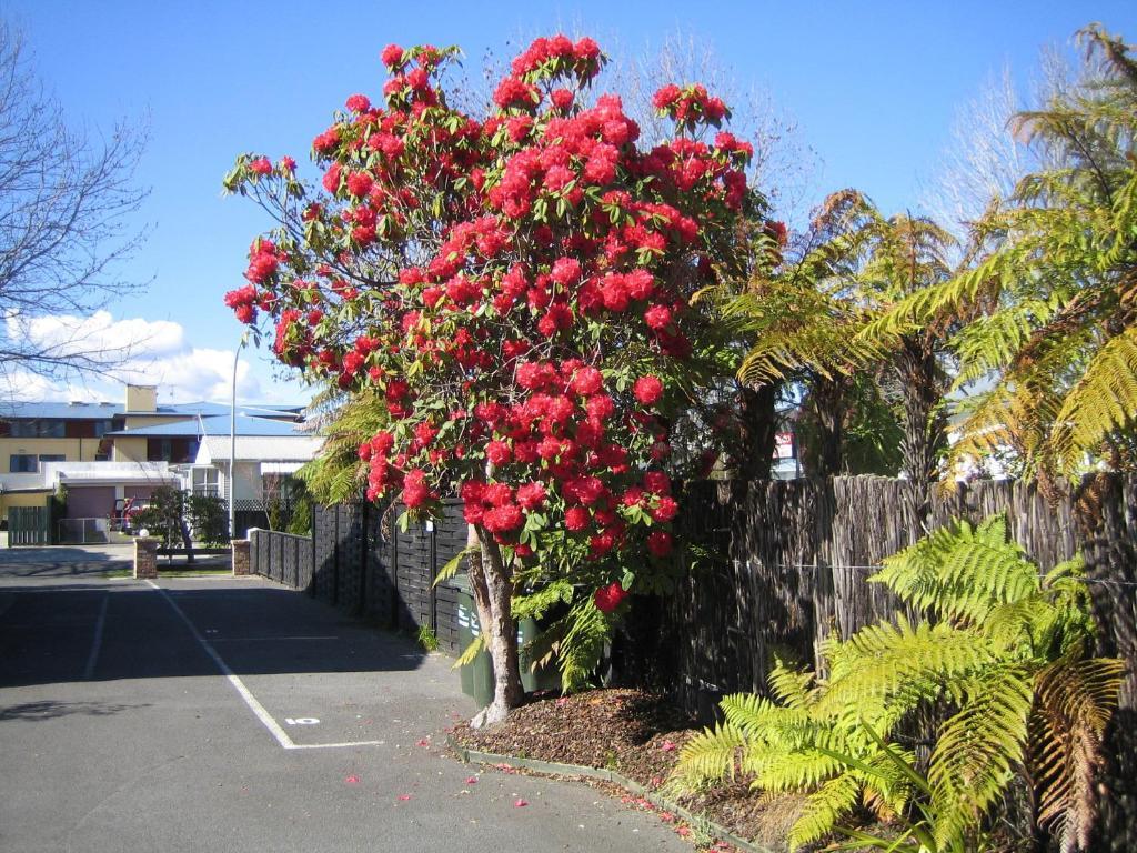 Victoria Motel Rotorua