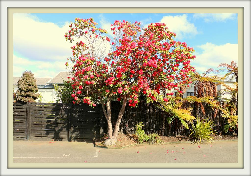 Victoria Motel Rotorua